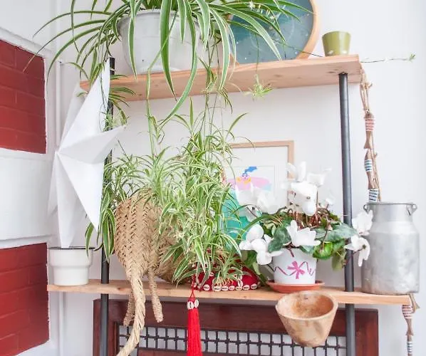 Konukevi Les Ombrees 3*