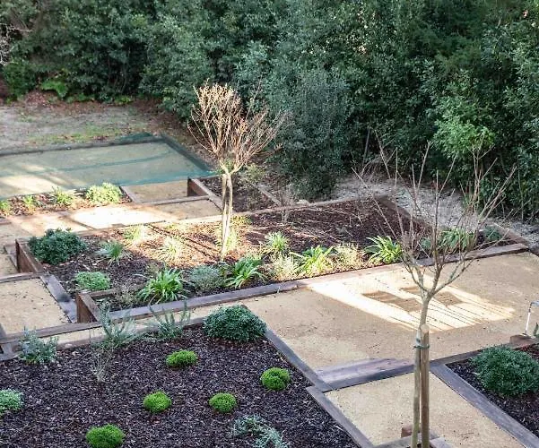 Les Ombrees 3* 아르카숑